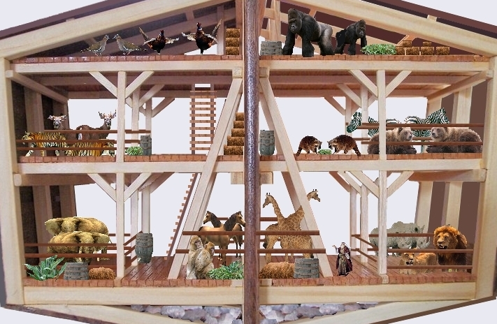 Ark Details