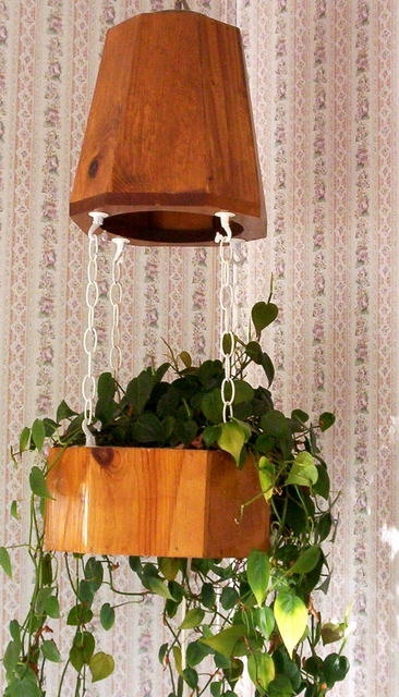 Hanging Planter