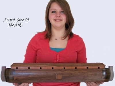 Size of the Ark Model